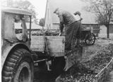 Kartoffeln abladen per Hand 1954